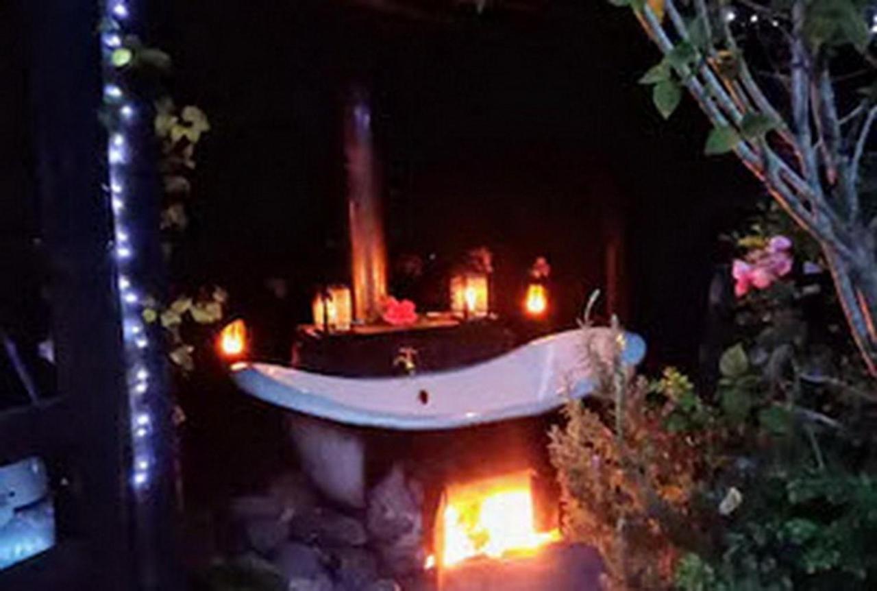 Warm Earth Cottages Aongatete Ngoại thất bức ảnh