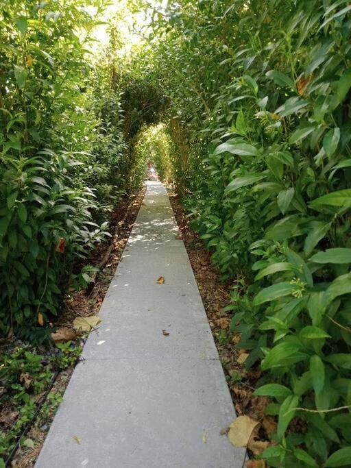 Warm Earth Cottages Aongatete Ngoại thất bức ảnh